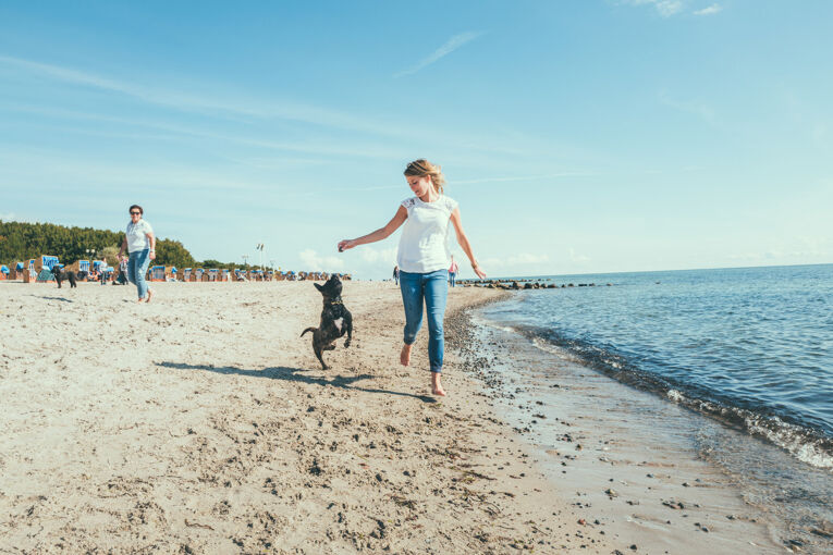 Hundestrand