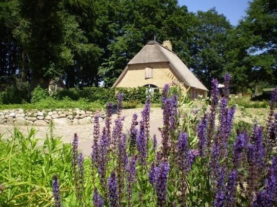 Ausstellung auf dem Gelände des Kolonistenhofs