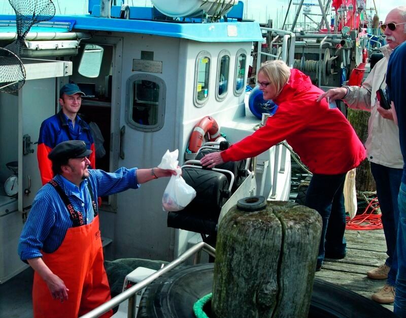 frischer Fisch