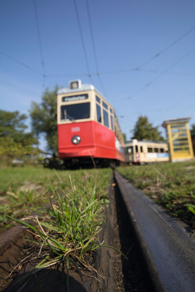Alte Straßenbahnen auf dem Museumsbahnhof