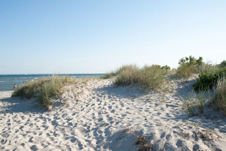 Hundestrand Lenste
