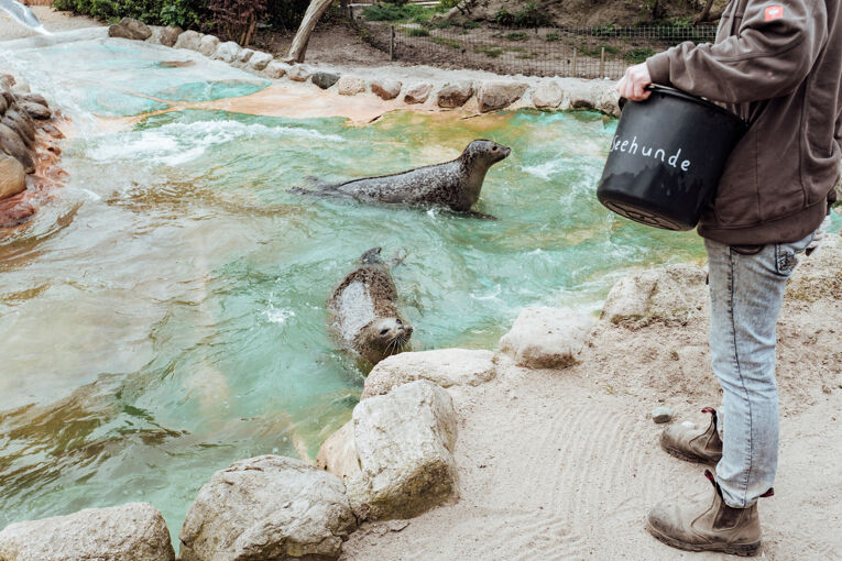 Zoo Arche Noah