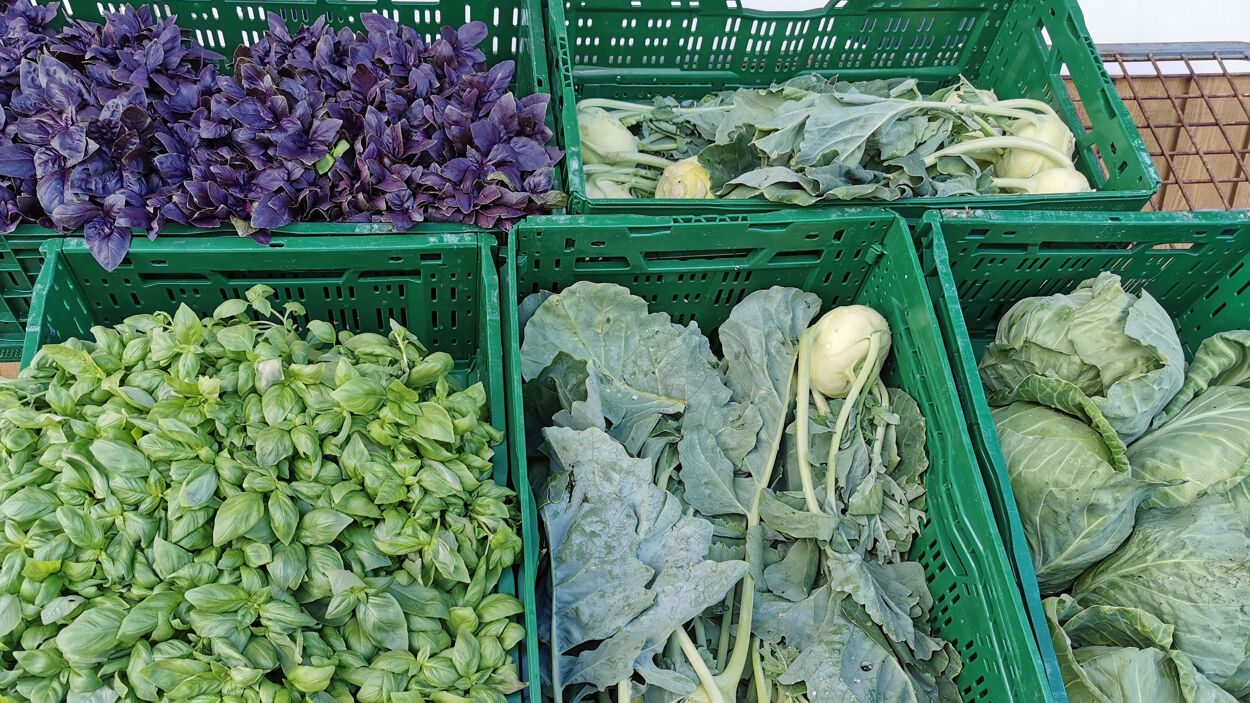 Wischmanns Hofladen: Gemüse & Kräuter
