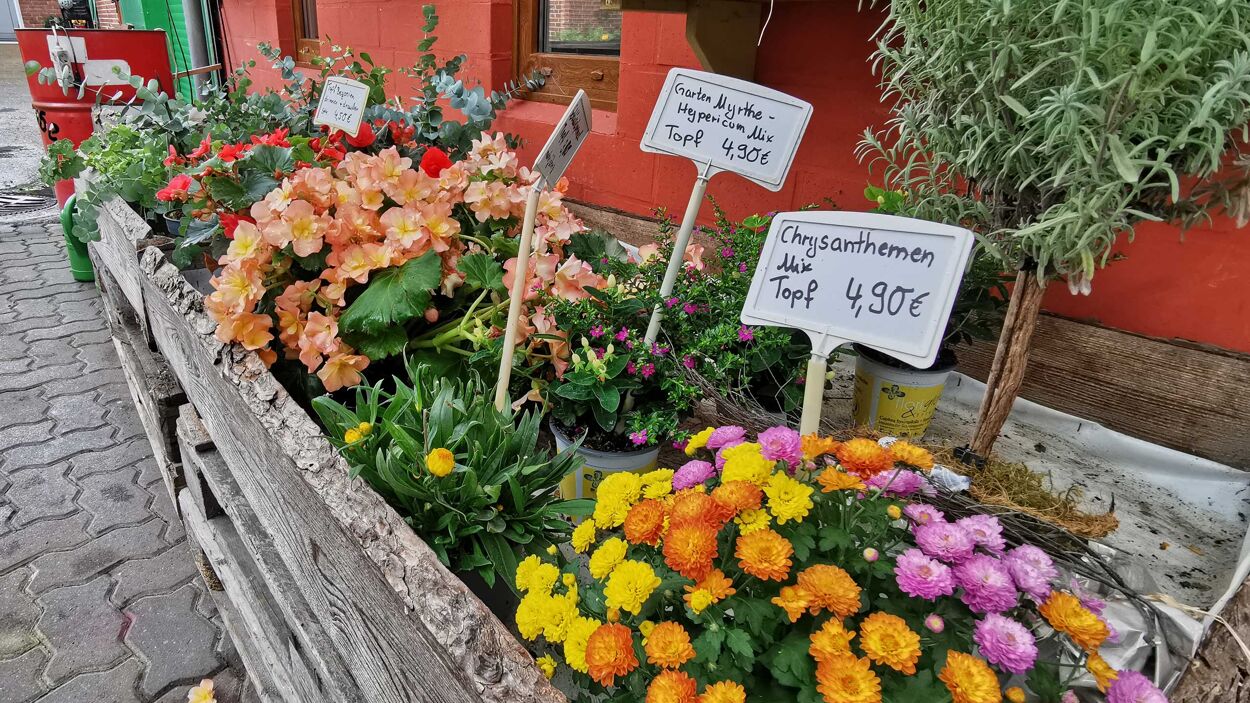 Hofladen Fangmeier & Heikes Blumenstube
