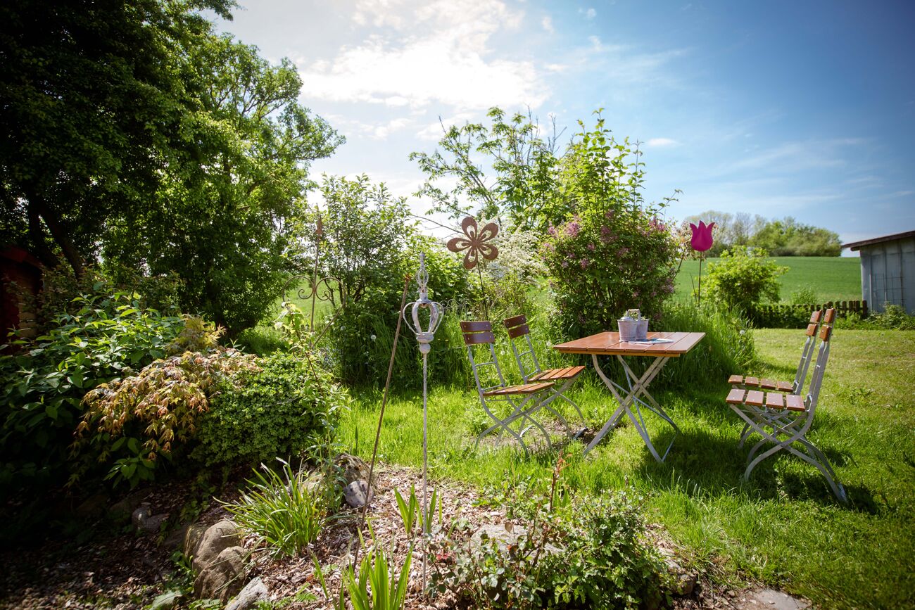 cafe-hof-schwansen-natur.jpg