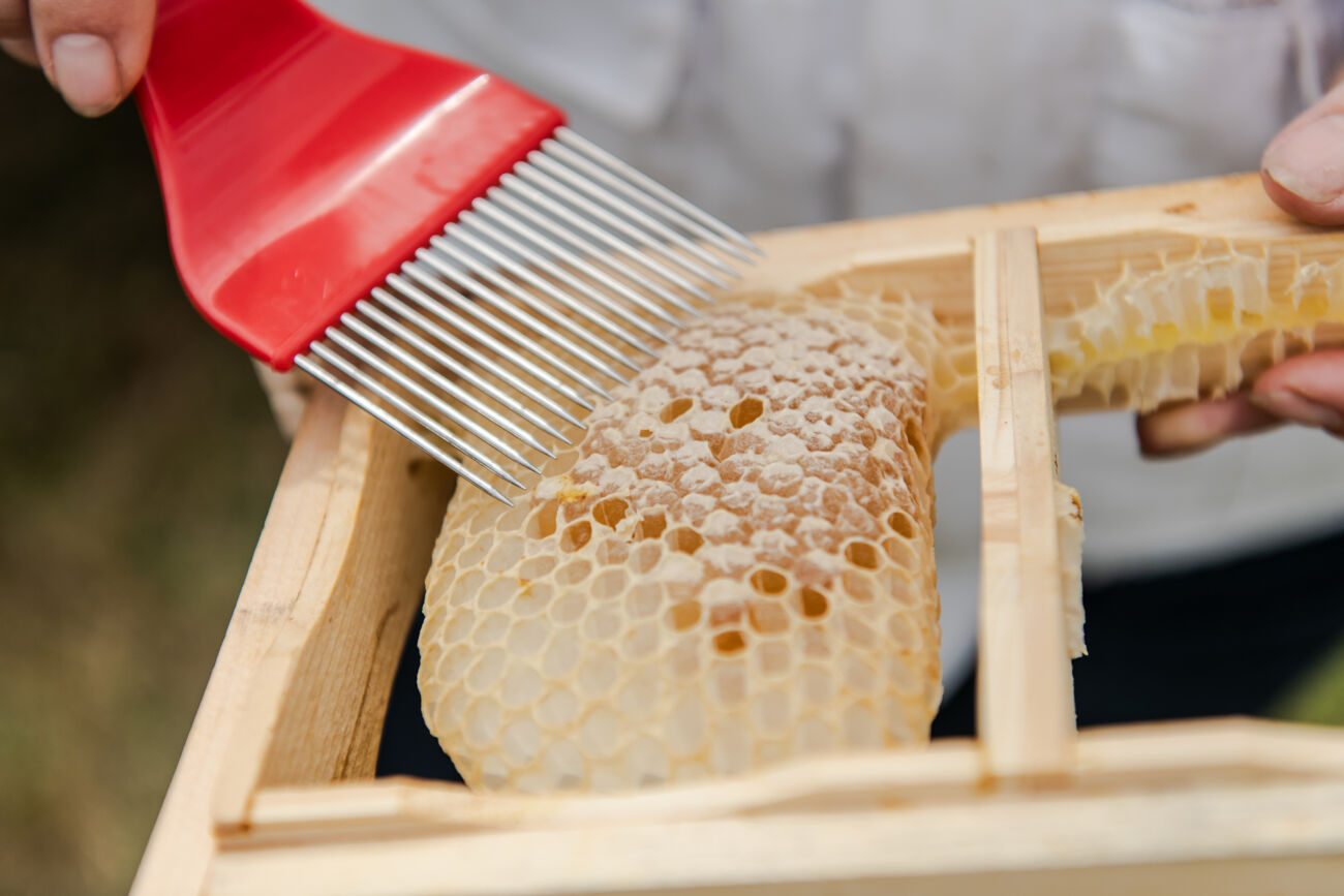 Hansen Honig – Imkerei und Manufaktur in Ahrensburg Lebensmittel mit selbst gemachten Bienenwachstüchern frisch halten.