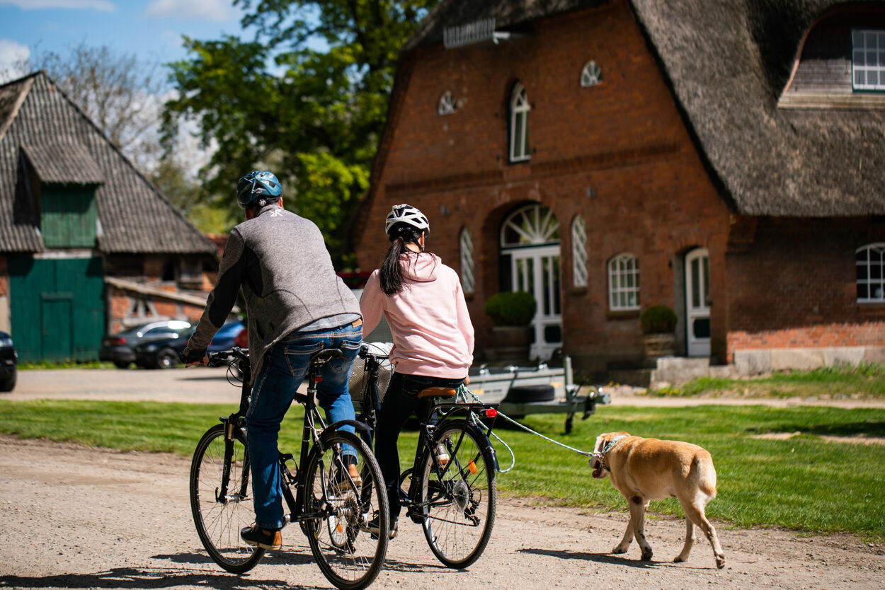 Zwei Radfahrende mit Hund auf einer Radtour durch Malente und umliegende Dörfer.