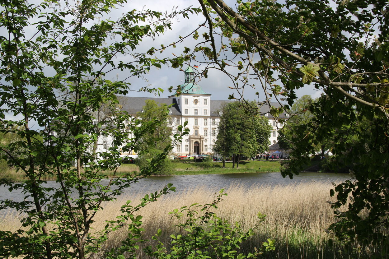Landesmuseum Schloss Gottorf hinter Büschen.