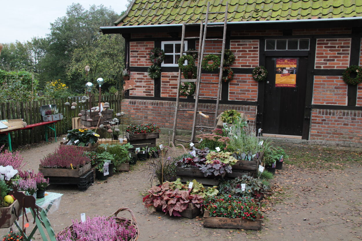 Blumen und Kränze zum Verkauf auf Herbstmarkt im Freilichtmuseum Molfsee