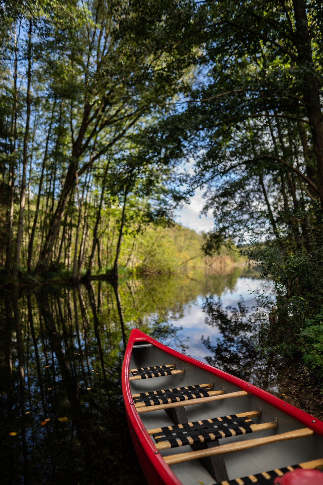 Kanu halb im Wasser im Wald.