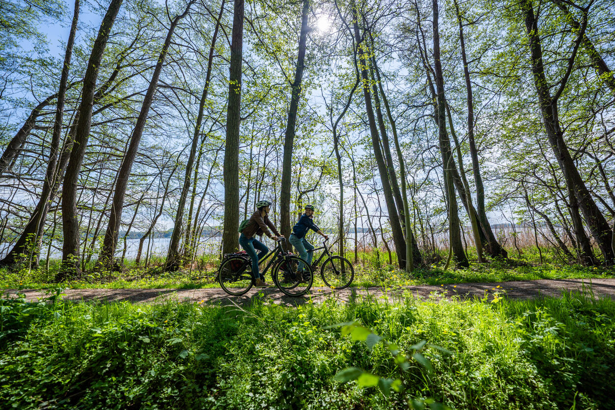 Ein Mann und eine Frau fahren mit ihren Fahrrädern entlang des Ratzeburger Sees.