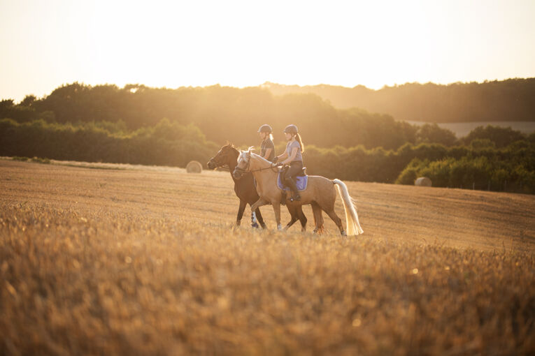 Zwei Mädchen reiten auf zwei Ponys im Sonnenuntergang