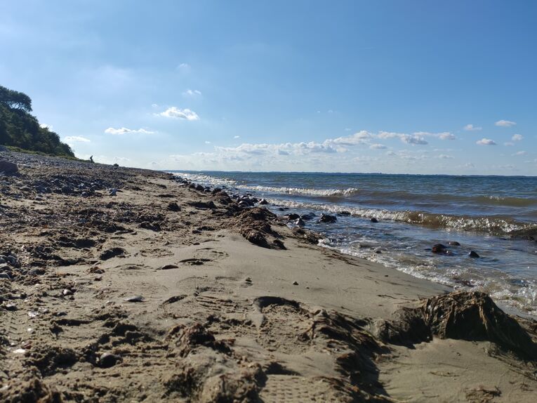 Schwedeneck Strand Steilküste (74)