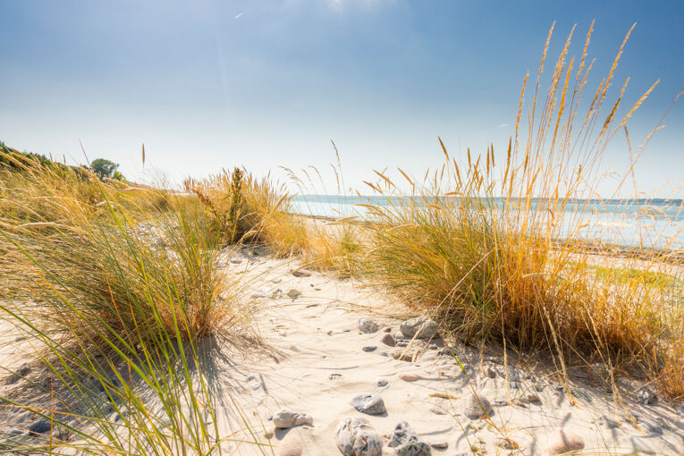 Strand_Noer_Ostsee1909 ©Eckernförde Touristik & Marketing GmbH_Oliver Franke