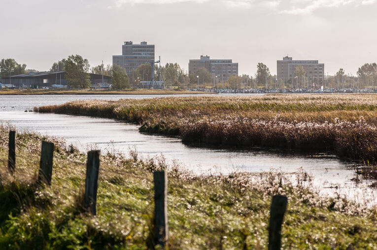 Wendtorf_Blick zur Marina vom NSG Bottsand