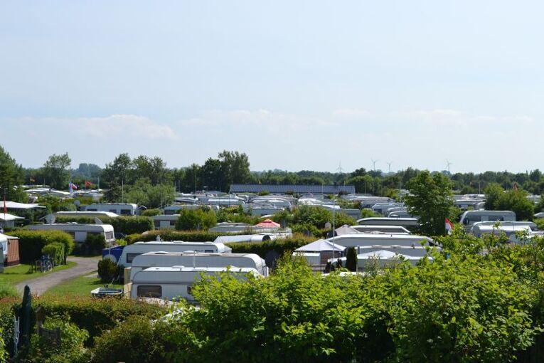 camping-grasbleek