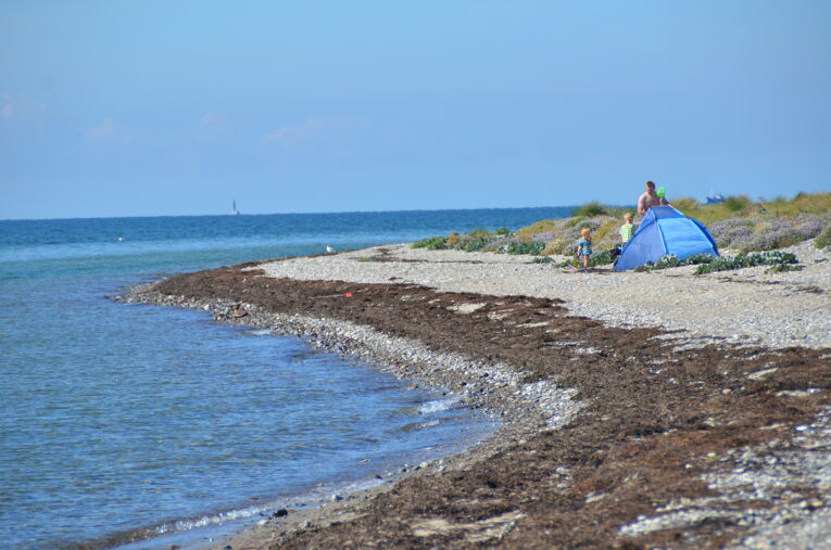 Naturstrand Flügge