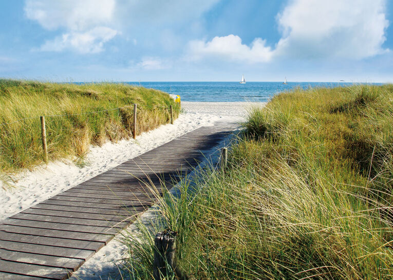 Dünenlandschaft am Sehlendorfer Strand