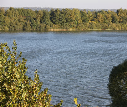 Blick auf den Mechower See - ein Paradies für Wasservögel