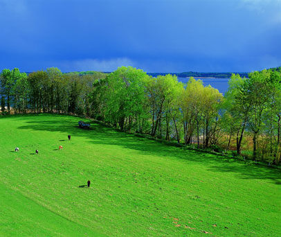 Blick vom Aussichtsturm auf den Schaalsee