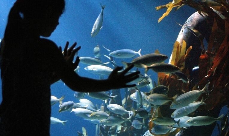 Sea Life Center