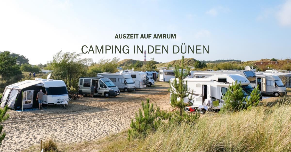 Auf dem Dünencamping Amrum ist für jeden was dabei. Wir bieten Platz für Wohnmobile, Wohnwagen, Zelte und haben als Unterkünfte unsere Mietwohnwagen und DünenLodges.