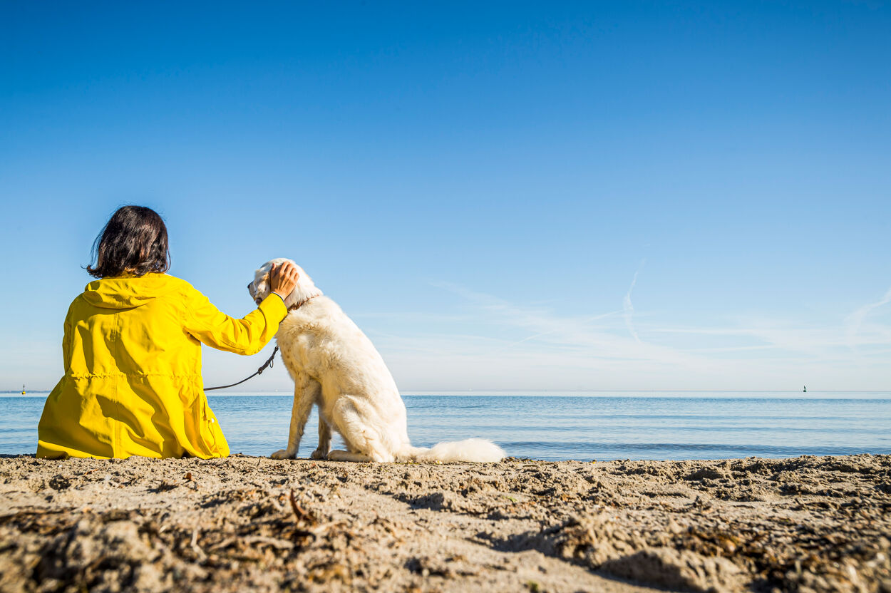 Frau mit Hund am Strand (2) © LTM
