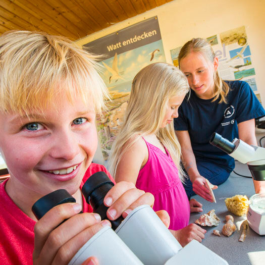 Kinder auf Entdeckungstour in der Schutzstation Wattenmeer in Büsum