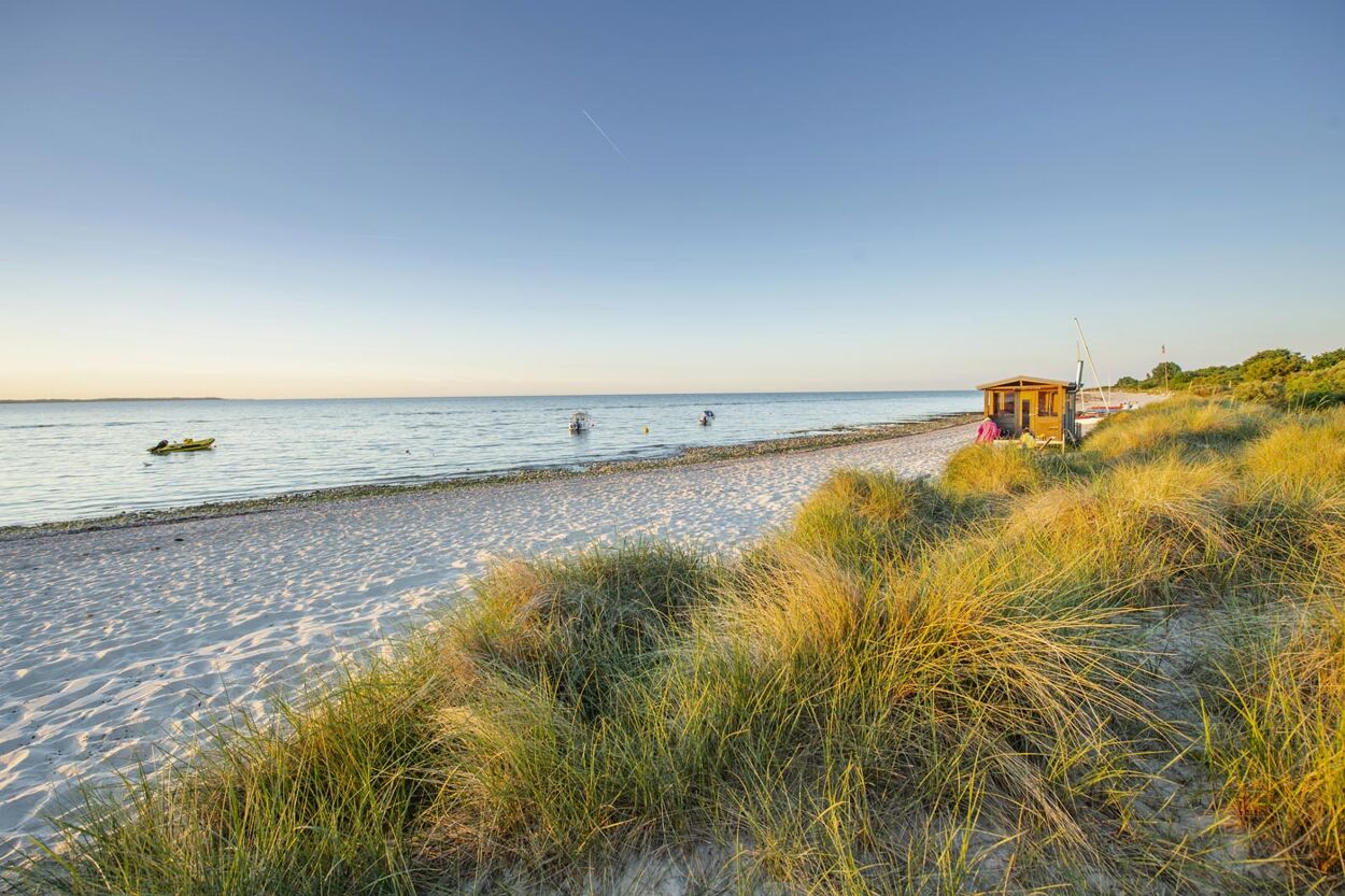 Strand in der Nähe vom Campingplatz Grönwohld in Schwedeneck in der Eckernförder Bucht