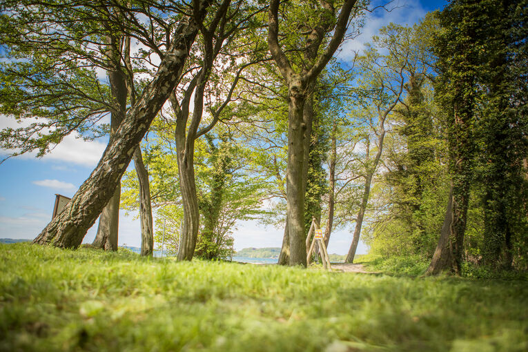 Prinzeninsel Plön
